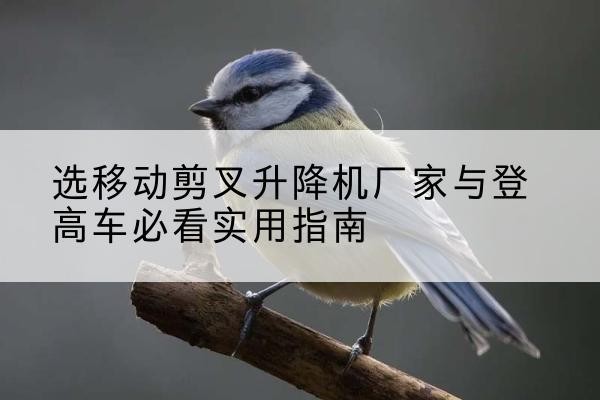 启东电动升降机厂家-选移动剪叉升降机厂家与登高车必看实用指南