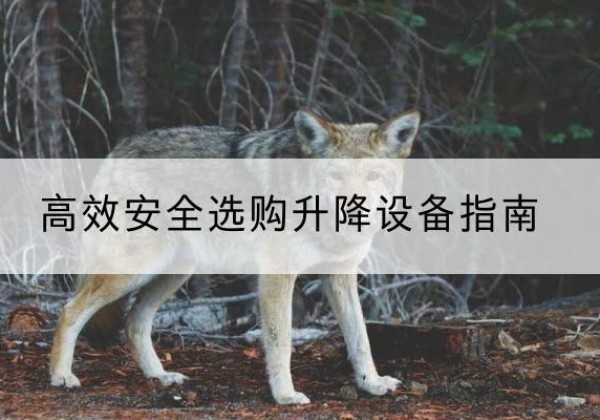 启东升降货梯厂家推荐-*安全选购升降设备指南