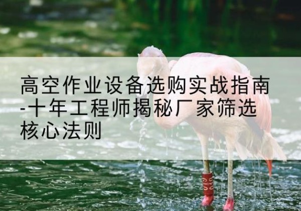 启东剪叉式升降机厂家-高空作业设备选购实战指南-十年工程师揭秘厂家筛选核心法则